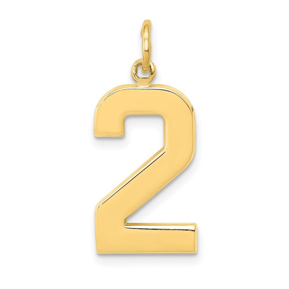 14k Yellow Gold, Athletic Collection, Large Polished Number 2 Pendant